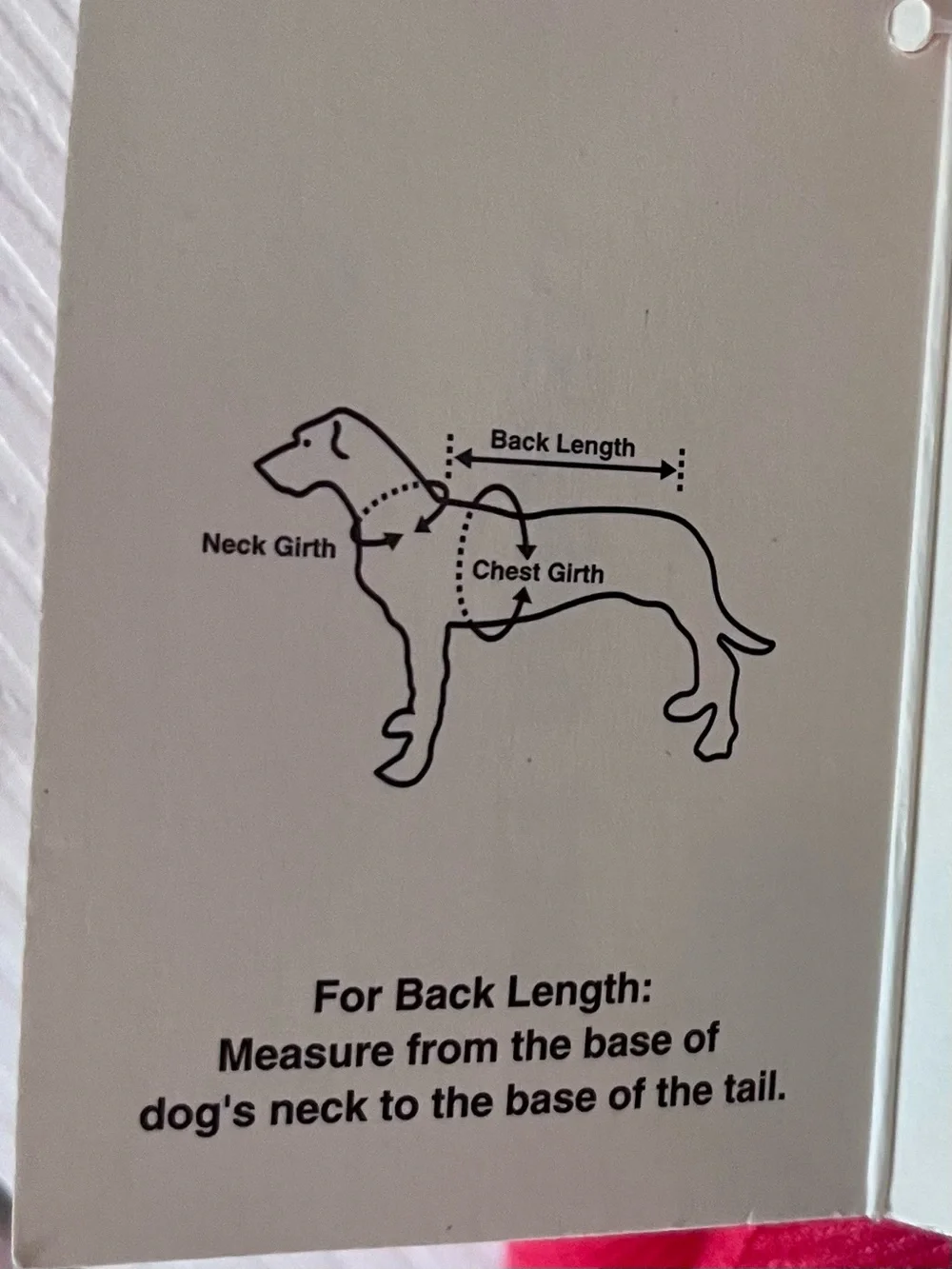 Pet Apparel brand new